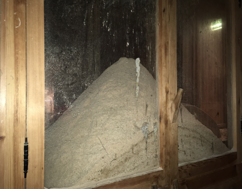 Zaagkot van Het
          Jonge Schaap