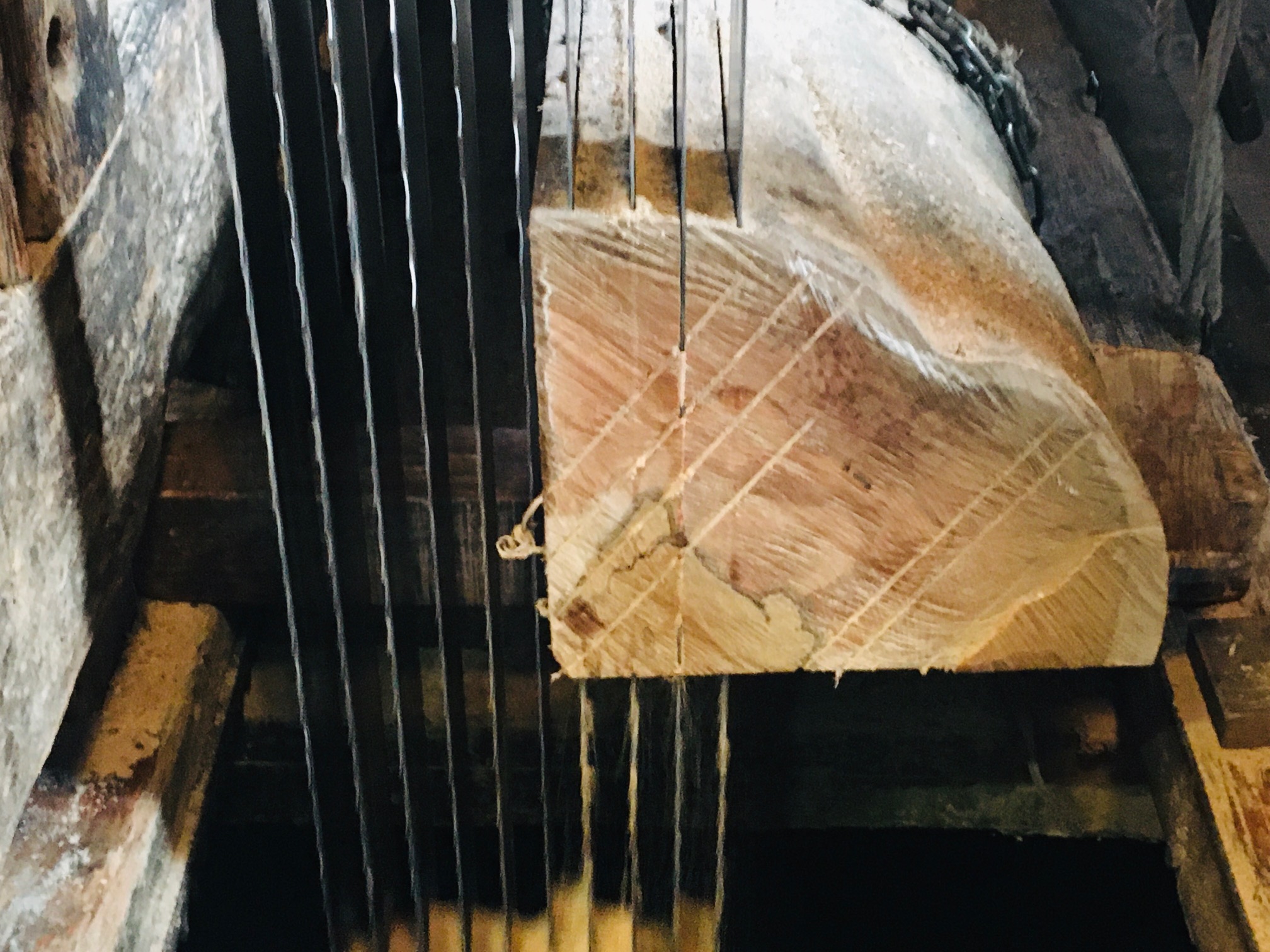 Tegenwoordige kwartierszagn