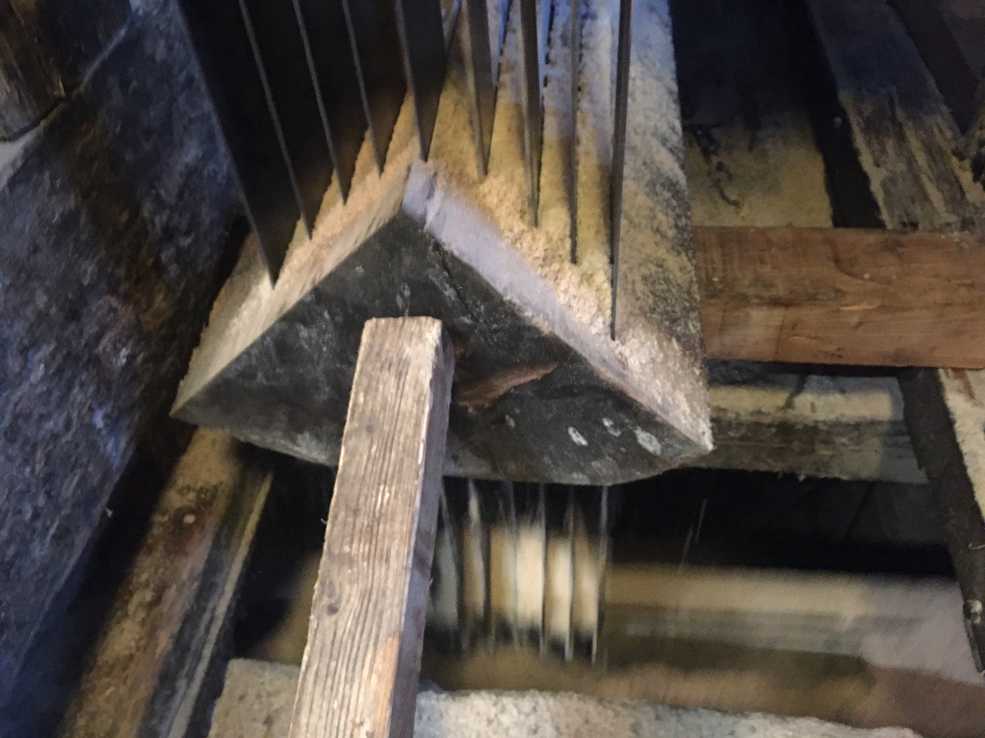 Traditioneel kwartierszagn